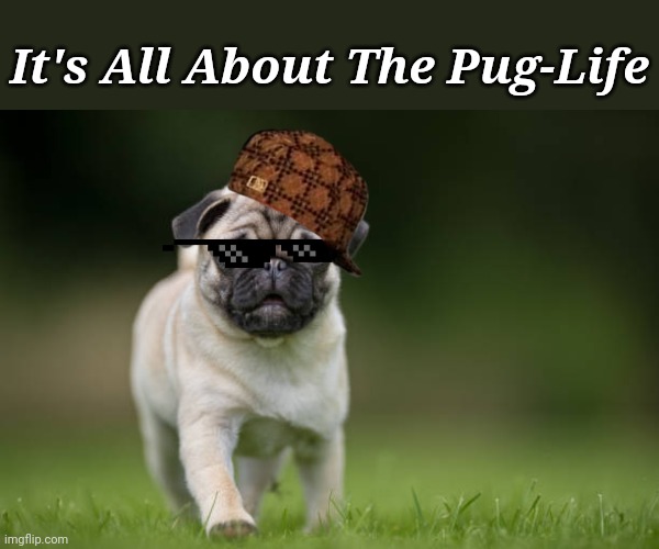 'Pugg Doog' Pun weekend 24th-26th January. A Cool_Guy_2007, Grease_Monkey & Kraziness event. | It's All About The Pug-Life | image tagged in memes,pun weekend,cool_guy_2007,grease_monkey,kraziness,dogs | made w/ Imgflip meme maker