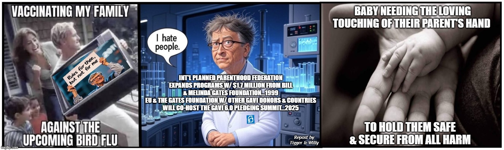 BABY NEEDING THE LOVING TOUCHING OF THEIR PARENT'S HAND; INT'L PLANNED PARENTHOOD FEDERATION EXPANDS PROGRAMS W/ $1.7 MILLION FROM BILL & MELINDA GATES FOUNDATION...1999
EU & THE GATES FOUNDATION W/ OTHER GAVI DONORS & COUNTRIES WILL CO-HOST THE GAVI 6.0 PLEDGING SUMMIT...2025; TO HOLD THEM SAFE & SECURE FROM ALL HARM; Repost by Tigger & Willy | made w/ Imgflip meme maker