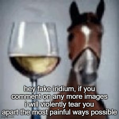 wine horse | hey fake iridium, if you comment on any more images i will violently tear you apart the most painful ways possible | image tagged in wine horse | made w/ Imgflip meme maker