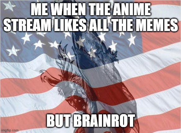 idk | ME WHEN THE ANIME STREAM LIKES ALL THE MEMES; BUT BRAINROT | image tagged in jjk,mha,naruto,one punch man,one piece,oh wow are you actually reading these tags | made w/ Imgflip meme maker