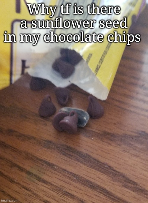 . | Why tf is there a sunflower seed in my chocolate chips | made w/ Imgflip meme maker