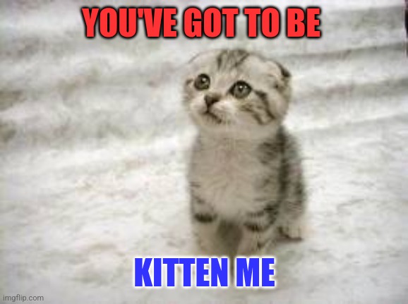 Kitten | YOU'VE GOT TO BE; KITTEN ME | image tagged in memes,sad cat,funny memes | made w/ Imgflip meme maker