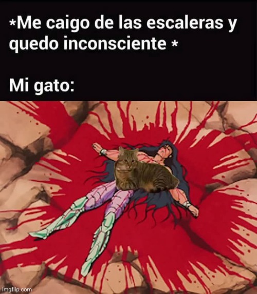 9fnw7n.jpg