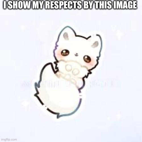 I SHOW MY RESPECTS BY THIS IMAGE | made w/ Imgflip meme maker