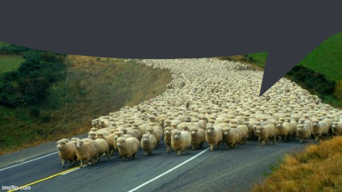 sheep | image tagged in sheep | made w/ Imgflip meme maker