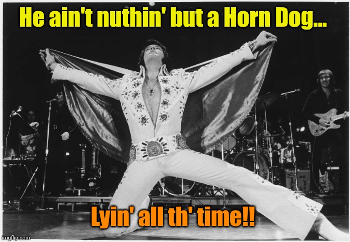 He ain't nuthin' but a Horn Dog... Lyin' all th' time!! | image tagged in elvis | made w/ Imgflip meme maker