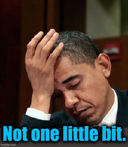 Obama Facepalm 250px | Not one little bit. | image tagged in obama facepalm 250px | made w/ Imgflip meme maker