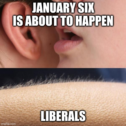 Whisper and Goosebumps | JANUARY SIX IS ABOUT TO HAPPEN; LIBERALS | image tagged in whisper and goosebumps | made w/ Imgflip meme maker