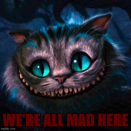 We're All Mad Here | WE'RE ALL MAD HERE | image tagged in we're all mad here | made w/ Imgflip meme maker