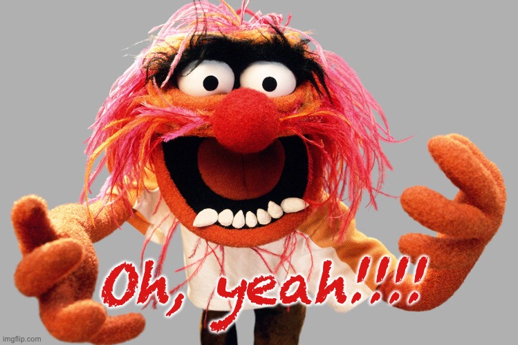 animal muppets | Oh, yeah!!!! | image tagged in animal muppets | made w/ Imgflip meme maker