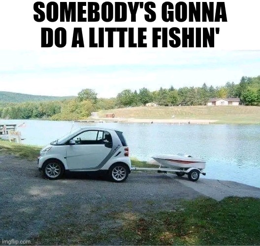 Somebody's Gonna Do A Little Fishin | SOMEBODY'S GONNA DO A LITTLE FISHIN' | image tagged in chris joines | made w/ Imgflip meme maker