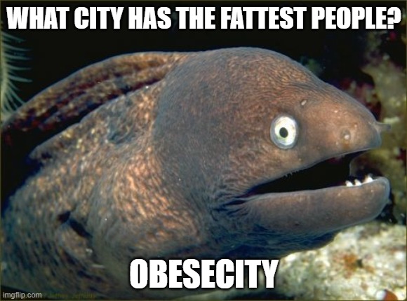 Funny fat joke | WHAT CITY HAS THE FATTEST PEOPLE? OBESECITY | image tagged in memes,bad joke eel,fat,funny memes,lol so funny,fat people | made w/ Imgflip meme maker