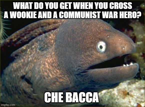 Che Guevara with Chewbacca | WHAT DO YOU GET WHEN YOU CROSS A WOOKIE AND A COMMUNIST WAR HERO? CHE BACCA | image tagged in memes,bad joke eel,che guevara,chewbacca,communism,star wars | made w/ Imgflip meme maker