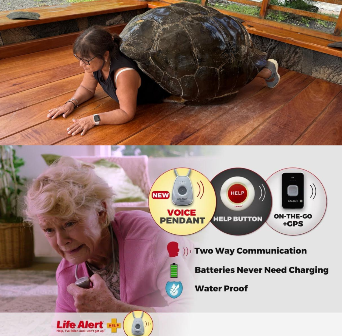 tortuela cant get up Blank Meme Template