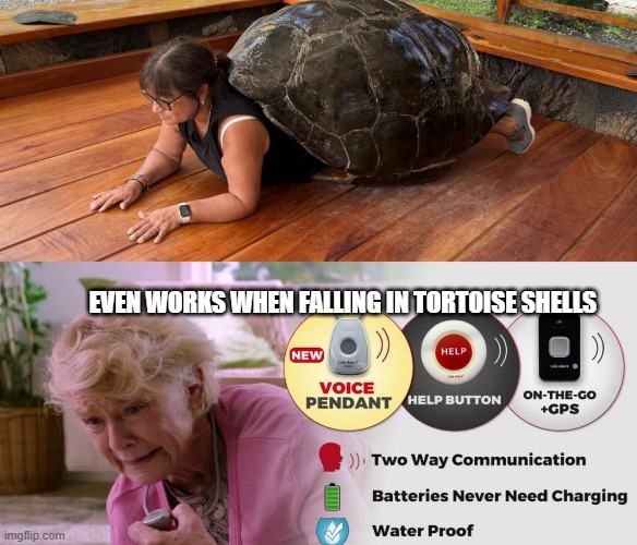 Tortuela Alert | EVEN WORKS WHEN FALLING IN TORTOISE SHELLS | image tagged in medical marijuana,edibles,abuela,grandma,turtle,tortoise | made w/ Imgflip meme maker