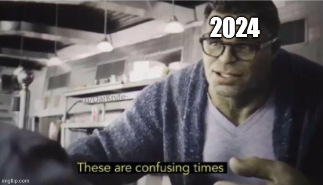 fr though the shit that happened in 2024 was crazy | 2024 | image tagged in these are confusing times,fr,lol | made w/ Imgflip meme maker