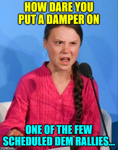 Greta Thunberg how dare you | HOW DARE YOU PUT A DAMPER ON ONE OF THE FEW SCHEDULED DEM RALLIES... | image tagged in greta thunberg how dare you | made w/ Imgflip meme maker