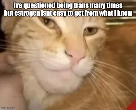 cat mewing | ive questioned being trans many times but estrogen isnt easy to get from what i know | image tagged in cat mewing | made w/ Imgflip meme maker