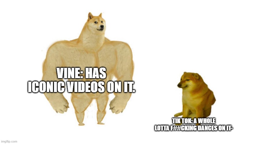 Vine: The Better Version Of Tik Tok- | VINE: HAS ICONIC VIDEOS ON IT. TIK TOK: A WHOLE LOTTA F##CKING DANCES ON IT- | image tagged in dodge chad vs virgin | made w/ Imgflip meme maker