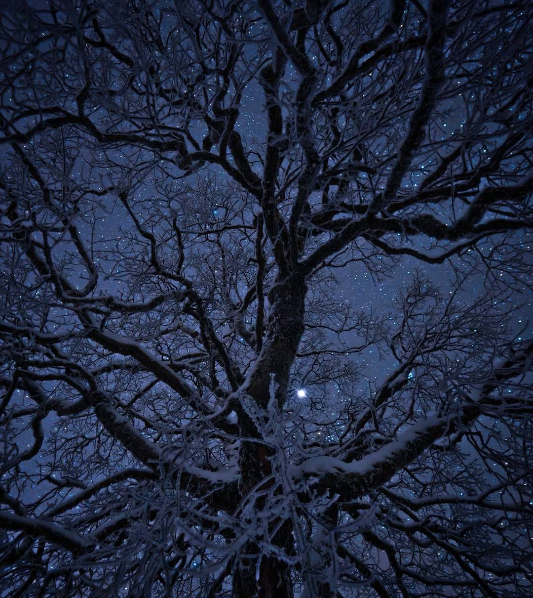 Winter. Blank Meme Template