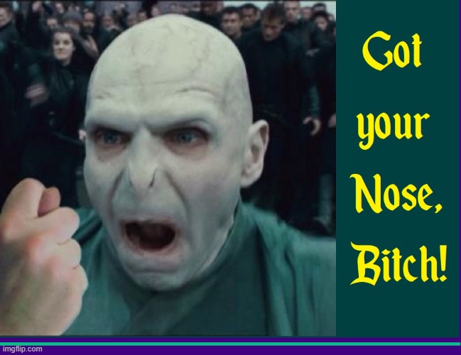 How Lord Voldemort actually Lost his Schnozzola | image tagged in vince vance,lord voldemort,harry potter,got your nose,memes | made w/ Imgflip meme maker