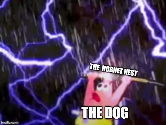 PATRICK HAS THE P O W E R . | THE DOG THE  HORNET NEST | image tagged in patrick has the p o w e r | made w/ Imgflip meme maker