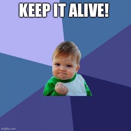 Success Kid Meme | KEEP IT ALIVE! | image tagged in memes,success kid | made w/ Imgflip meme maker