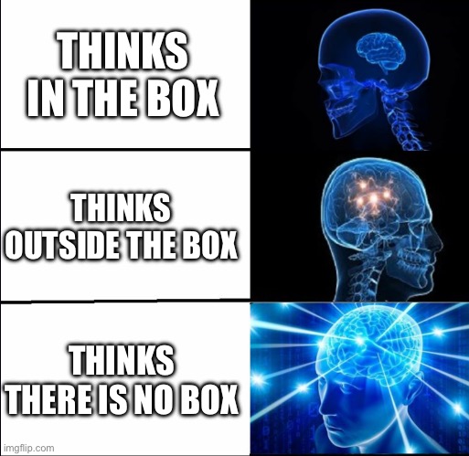 But I Am Typing in a Box Now!?! | THINKS IN THE BOX; THINKS OUTSIDE THE BOX; THINKS THERE IS NO BOX | image tagged in galaxy brain 3 brains,thinking,no box,think outside the box | made w/ Imgflip meme maker