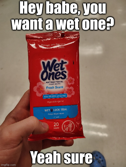 ofc I do | Hey babe, you want a wet one? Yeah sure | image tagged in funny,dark humour,dark,baby wipes,wait a sec | made w/ Imgflip meme maker