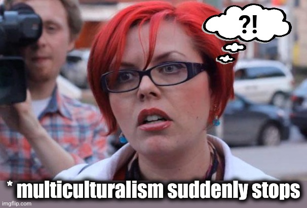 Angry Feminist | ?! * multiculturalism suddenly stops | image tagged in angry feminist | made w/ Imgflip meme maker