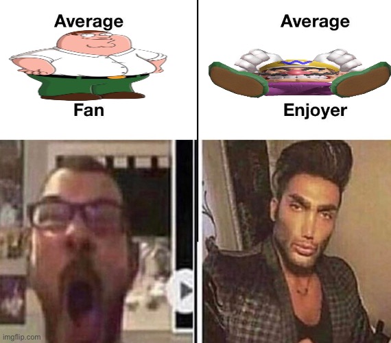 wah | image tagged in average fan vs average enjoyer | made w/ Imgflip meme maker