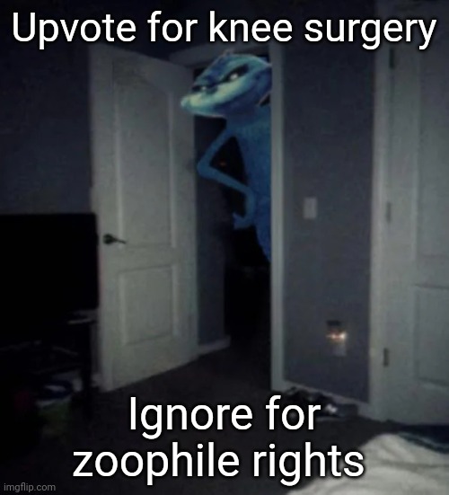 knee surgery | Upvote for knee surgery; Ignore for zoophile rights | image tagged in knee surgery | made w/ Imgflip meme maker