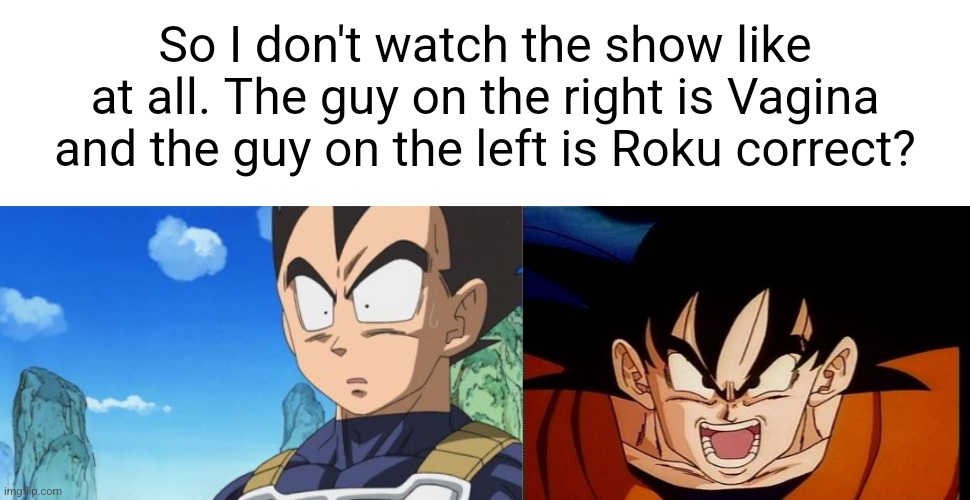 So I don't watch the show like at all. The guy on the right is Vagina and the guy on the left is Roku correct? | image tagged in memes,surprized vegeta,crosseyed goku | made w/ Imgflip meme maker