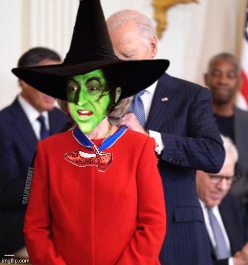 Hillary Clinton getting her Medal of Freedom | image tagged in hillary clinton,joe biden,hillary clinton 2016,donald trump,maga,wizard of oz | made w/ Imgflip meme maker