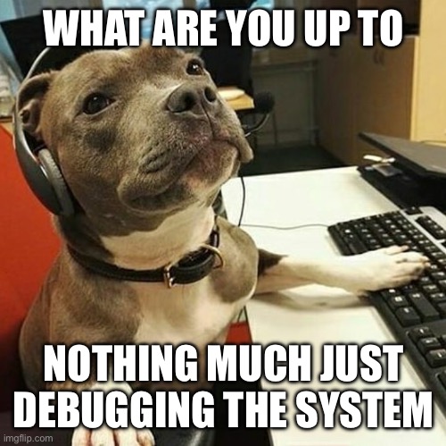 Pitbull smarts | WHAT ARE YOU UP TO; NOTHING MUCH JUST DEBUGGING THE SYSTEM | image tagged in pit bull tech support | made w/ Imgflip meme maker