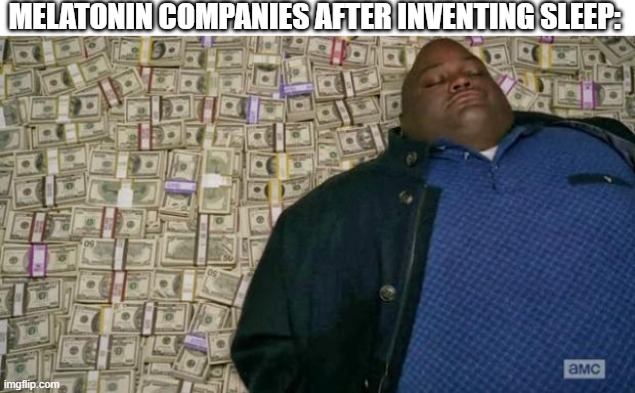 My favorite part about this meme is the fact that the guy is sleeping | MELATONIN COMPANIES AFTER INVENTING SLEEP: | image tagged in huell money,sleeping,memes,lol so funny,kill me,funny memes | made w/ Imgflip meme maker