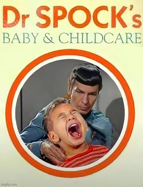 Guide to Babies | image tagged in babies,spock | made w/ Imgflip meme maker