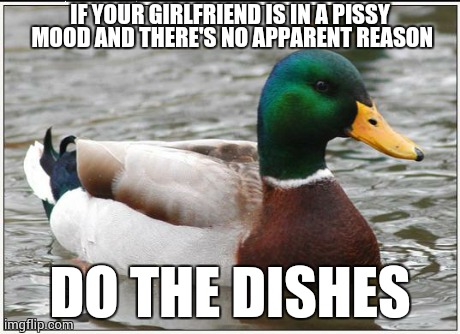 Actual Advice Mallard | IF YOUR GIRLFRIEND IS IN A PISSY MOOD AND THERE'S NO APPARENT REASON DO THE DISHES | image tagged in memes,actual advice mallard,AdviceAnimals | made w/ Imgflip meme maker