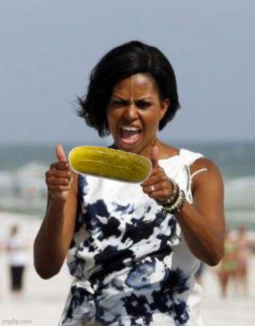 Michelle Obama Approves | image tagged in michelle obama approves | made w/ Imgflip meme maker