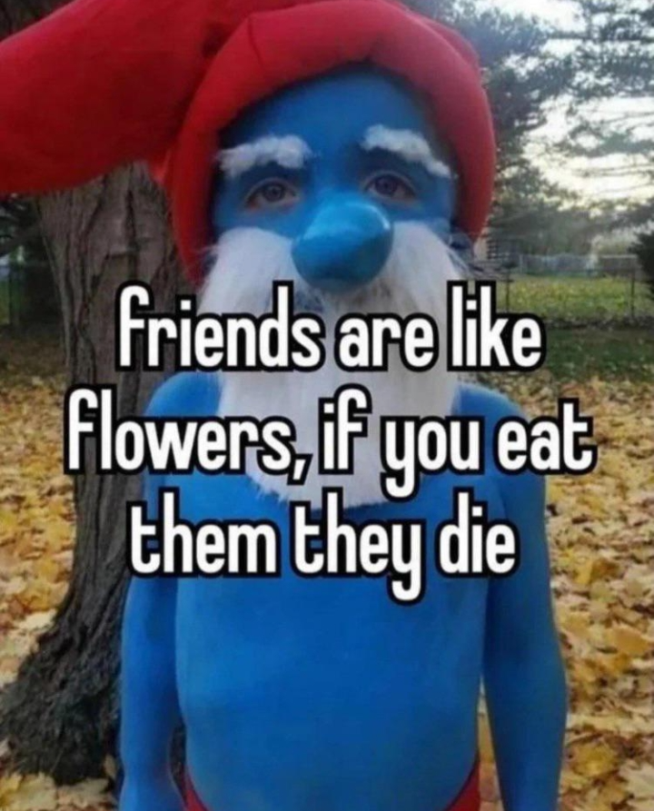 High Quality Silly Blank Meme Template