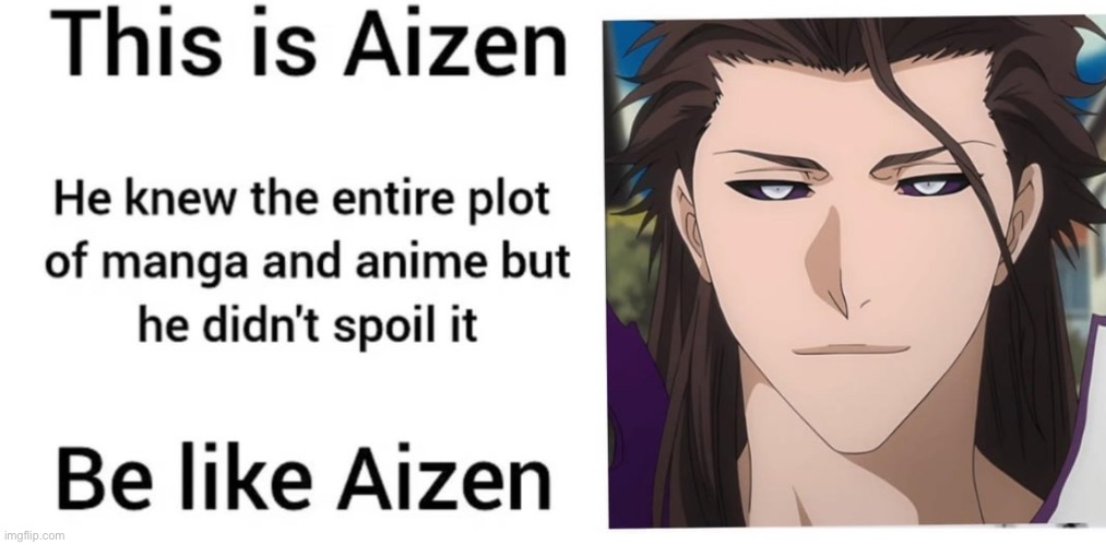 Bro knew the whole plot | image tagged in bleach,aizen | made w/ Imgflip meme maker