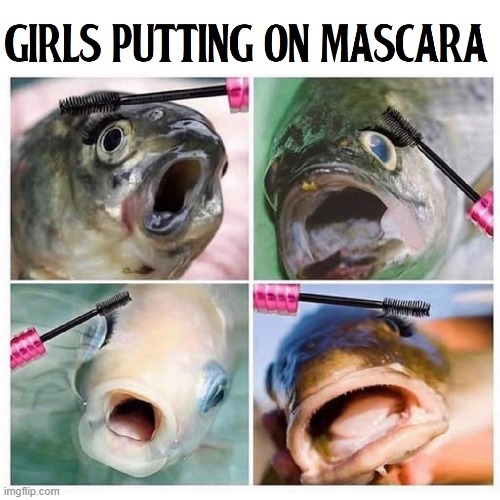 There's Something Fishy About Femininity | image tagged in vince vance,girls,mascara,fish,memes,makeup | made w/ Imgflip meme maker