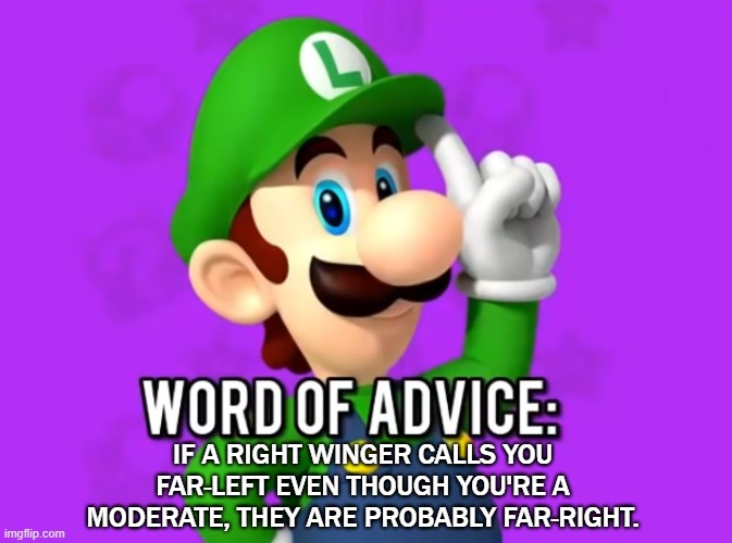 luigi's word of advice | IF A RIGHT WINGER CALLS YOU FAR-LEFT EVEN THOUGH YOU'RE A MODERATE, THEY ARE PROBABLY FAR-RIGHT. | image tagged in luigi's word of advice,maga,far right,alt right,hypocrisy | made w/ Imgflip meme maker