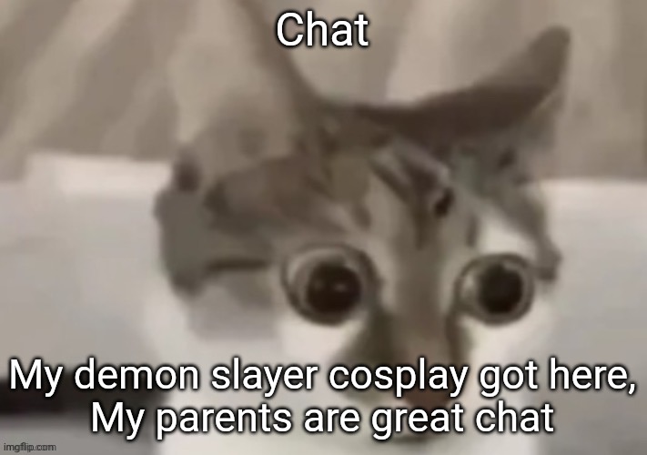 TIME TO BE NEZUKO'S BROTHER CHAT | Chat; My demon slayer cosplay got here,
My parents are great chat | image tagged in bombastic side eye cat | made w/ Imgflip meme maker