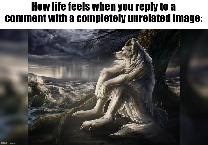 Sigma Wolf | How life feels when you reply to a comment with a completely unrelated image: | image tagged in sigma wolf | made w/ Imgflip meme maker