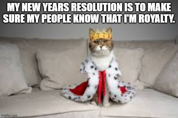 Cats New Years Resolution is to make sure humans know she is royalty | MY NEW YEARS RESOLUTION IS TO MAKE SURE MY PEOPLE KNOW THAT I'M ROYALTY. | image tagged in cats,kittens,funny,fun,humor,royalty | made w/ Imgflip meme maker