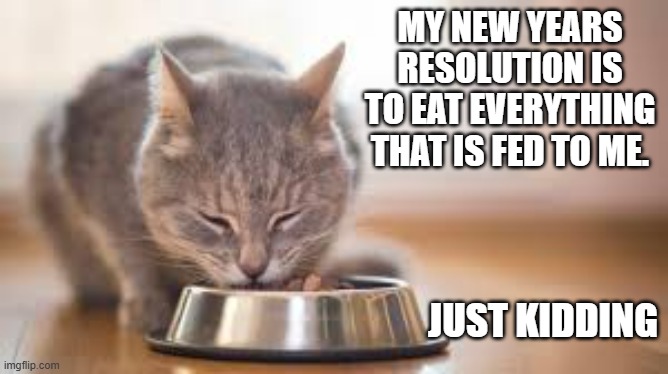 memes by Brad - cats New  Years resolution to not be finicky - just kidding - | MY NEW YEARS RESOLUTION IS TO EAT EVERYTHING THAT IS FED TO ME. JUST KIDDING | image tagged in funny,cats,kittens,new years resolutions,humor,eating | made w/ Imgflip meme maker