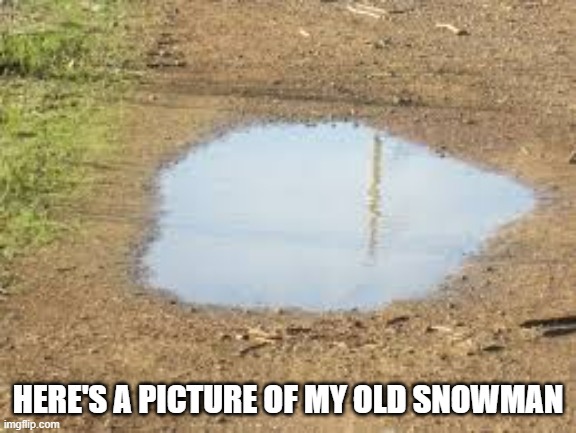 memes by Brad - Here's a picture of my old snowman - humor - | HERE'S A PICTURE OF MY OLD SNOWMAN | image tagged in funny,fun,snowman,melting,humor,water | made w/ Imgflip meme maker