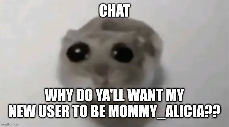 Like.. why? | CHAT; WHY DO YA'LL WANT MY NEW USER TO BE MOMMY_ALICIA?? | image tagged in sad hamster | made w/ Imgflip meme maker