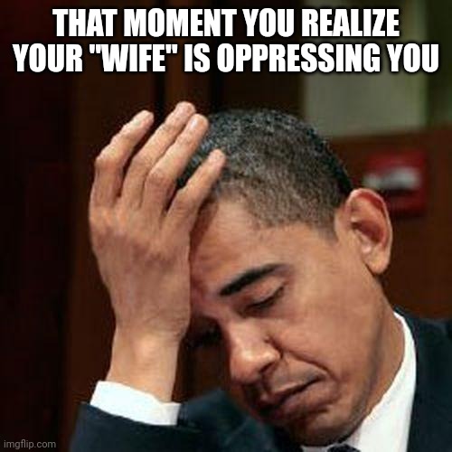 Obama Facepalm 250px | THAT MOMENT YOU REALIZE YOUR "WIFE" IS OPPRESSING YOU | image tagged in obama facepalm 250px | made w/ Imgflip meme maker